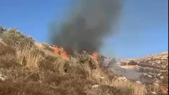 اشعال النيران وإطلاق قنابل الغاز.. الاحتلال يعتدي على قاطفي الزيتون شرق نابلس