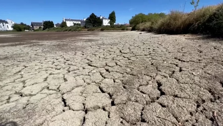 كيف يؤثر تغير المناخ على الصحة؟