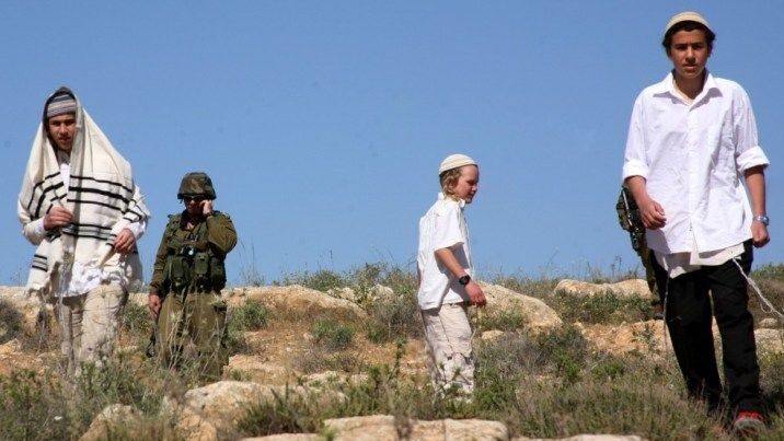 مستوطنون يحرثون أراضٍ في الأغوار الشمالية تمهيداً للاستيلاء عليها