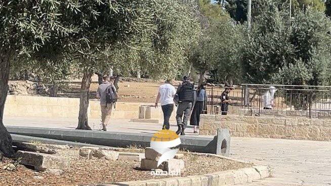 مستوطنون يقتحمون المسجد الأقصى المبارك