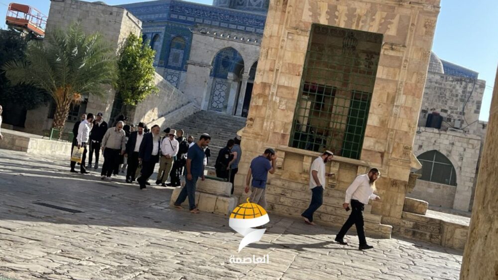 مستوطنون يقتحمون الأقصى والاحتلال يستدعي عددًا من حراسه