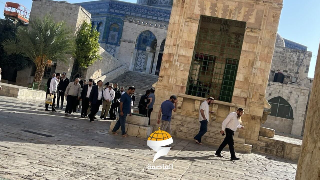 مستوطنون يقتحمون الأقصى والاحتلال يستدعي عددًا من حراسه