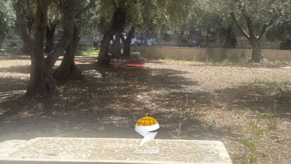 اقتحام الاقصى