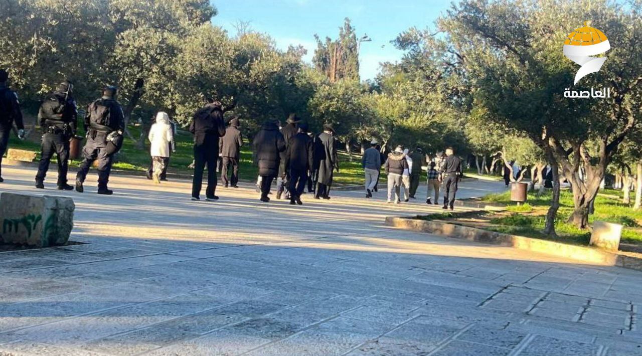 مستوطنون يقتحمون المسجد الأقصى المبارك