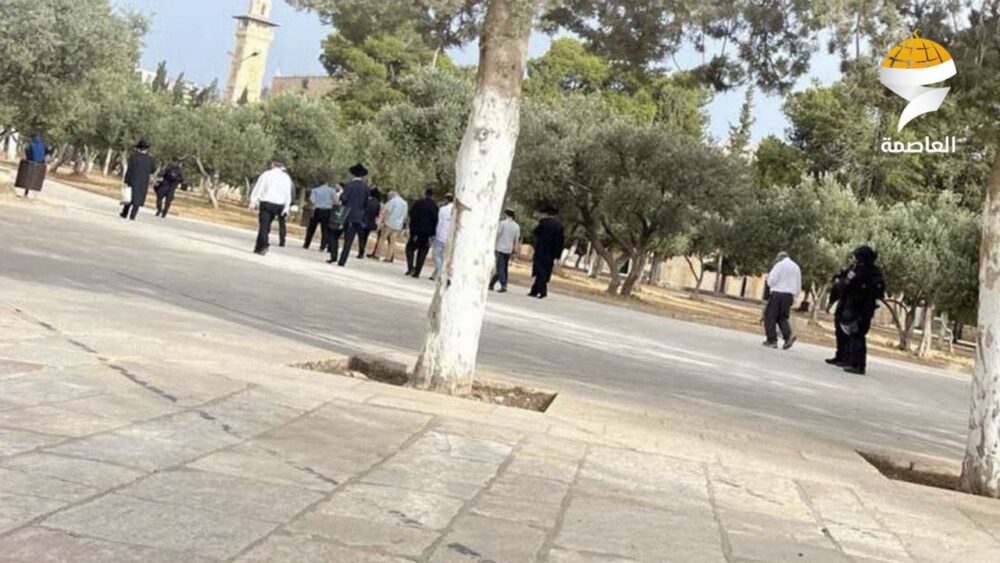 مستوطنون يقتحمون المسجد الأقصى المبارك