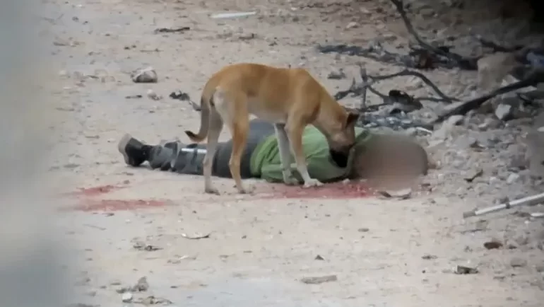 الكلاب وجثث الفلسطينيين والعدالة الدولية.. شهادات صادمة من الجيش الإسرائيلي