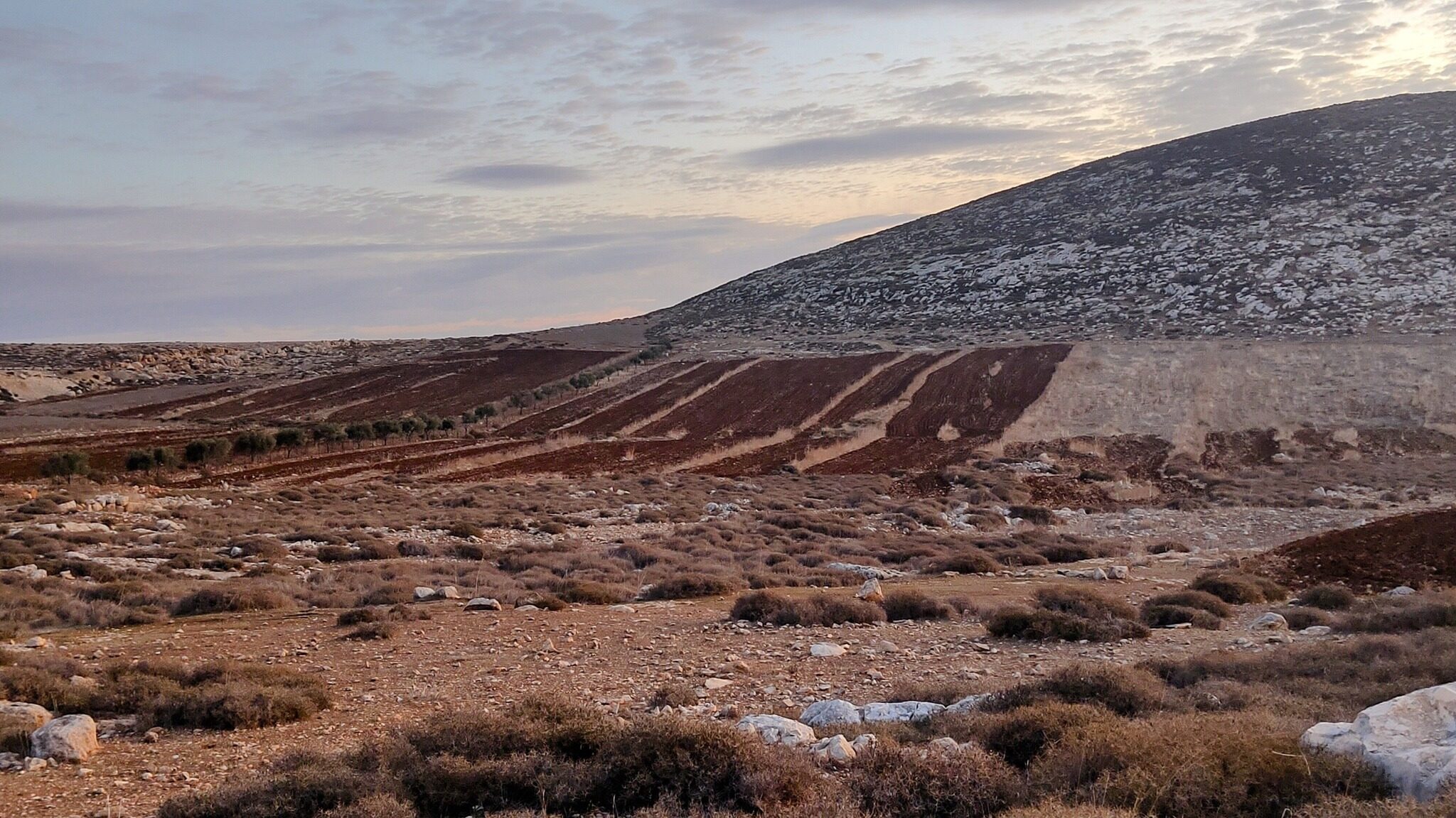 مستوطنون يجرفون أراضي المواطنين قرب قرية مخماس