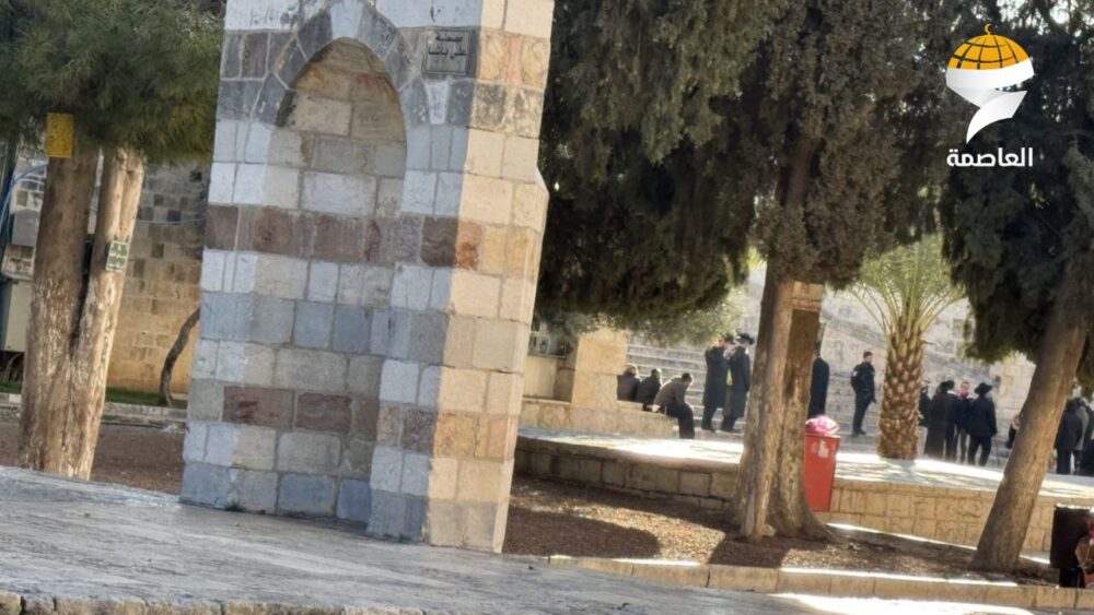 قرابة 271 مستوطن يقتحمون المسجد الأقصى