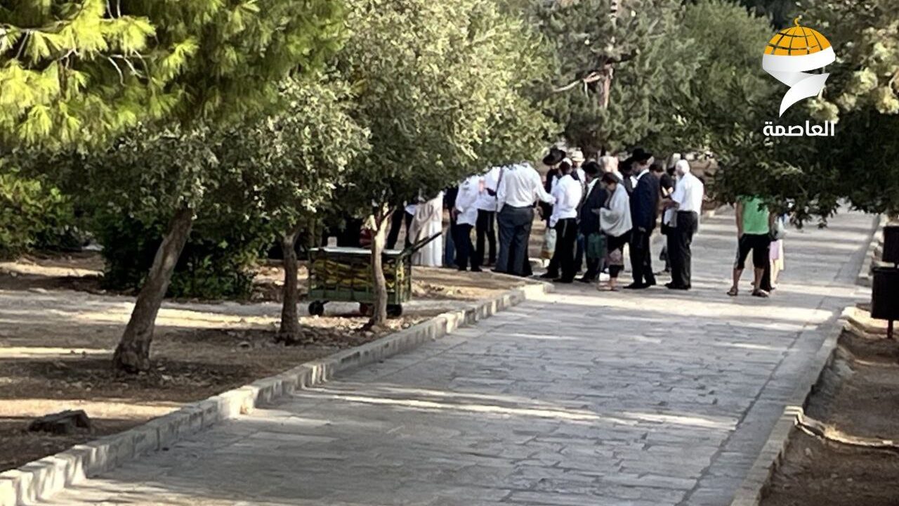 بينهم حاخام متطرف... مستوطنون يقتحمون المسجد الأقصى تزامناً مع عيد الحانوكاه العبري