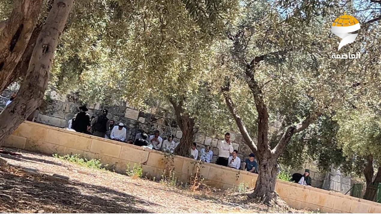 مستوطنون يقتحمون المسجد الأقصى المبارك