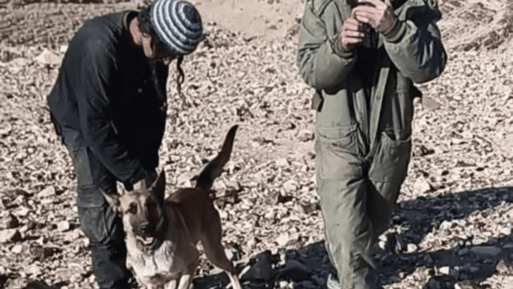 إصابة راعي أغنام هاجمه كلب للمستوطينن شرق بيت لحم