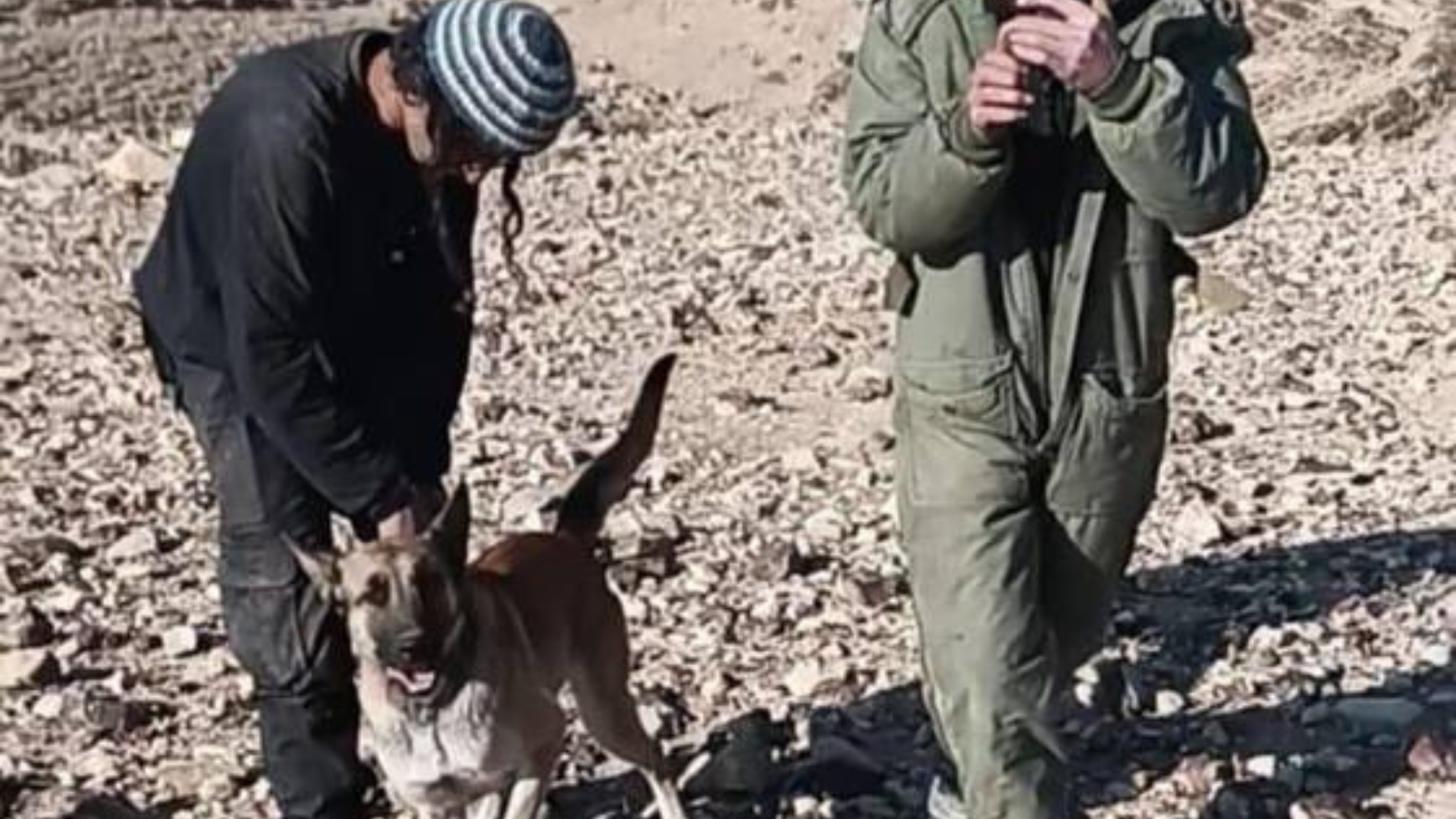 إصابة راعي أغنام هاجمه كلب للمستوطينن شرق بيت لحم