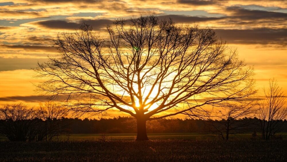 يلاحظ سكان بعض البلدان أن درجات الحرارة أصبحت مرتفعة بشكل غير طبيعي في الشتاء مع تزايد تأثيرات الاحتباس الحراري، فما تأثير هذه الظاهرة على الصحة؟.