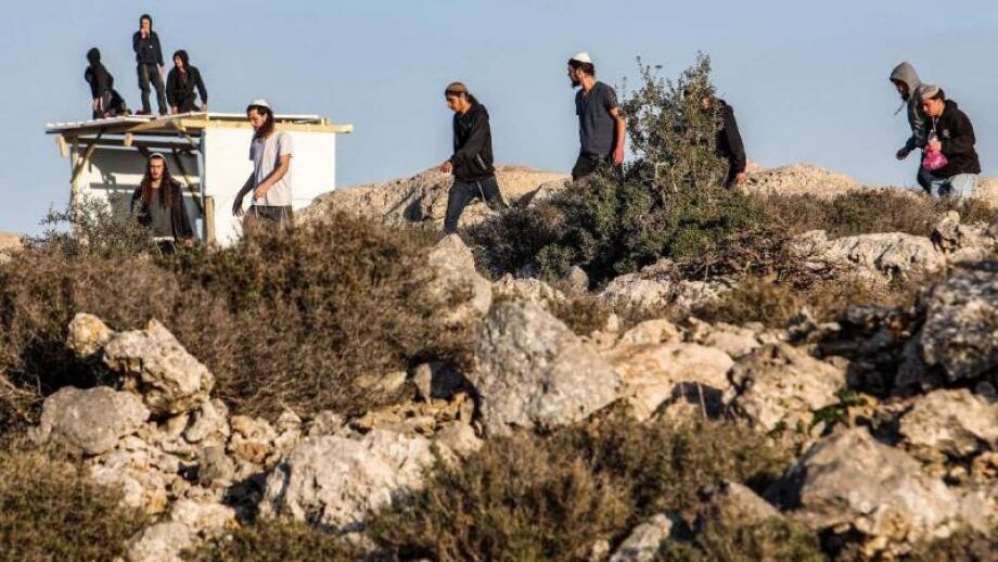 مستوطنون يرعون مواشيهم في مزروعات المواطنين بالأغوار الشمالية