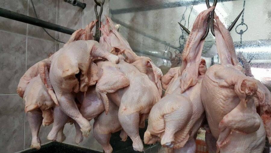 1.4 مليون دجاجة استُهلكت في الضفة خلال الأسبوع الأول من رمضان