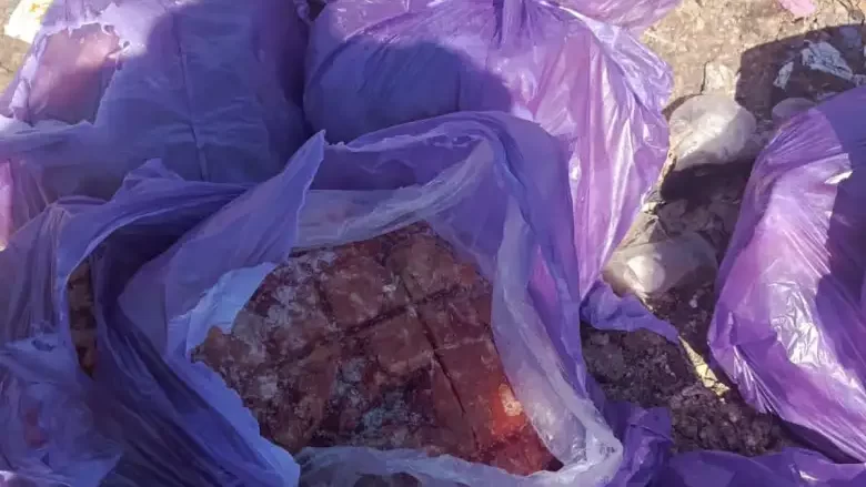 ضبط ربع طن لحوم دجاج غير صالحة للاستهلاك في محافظة نابلس