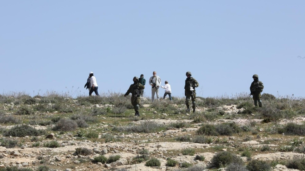 مستوطنون يستولون على عدد من رؤوس الإبل