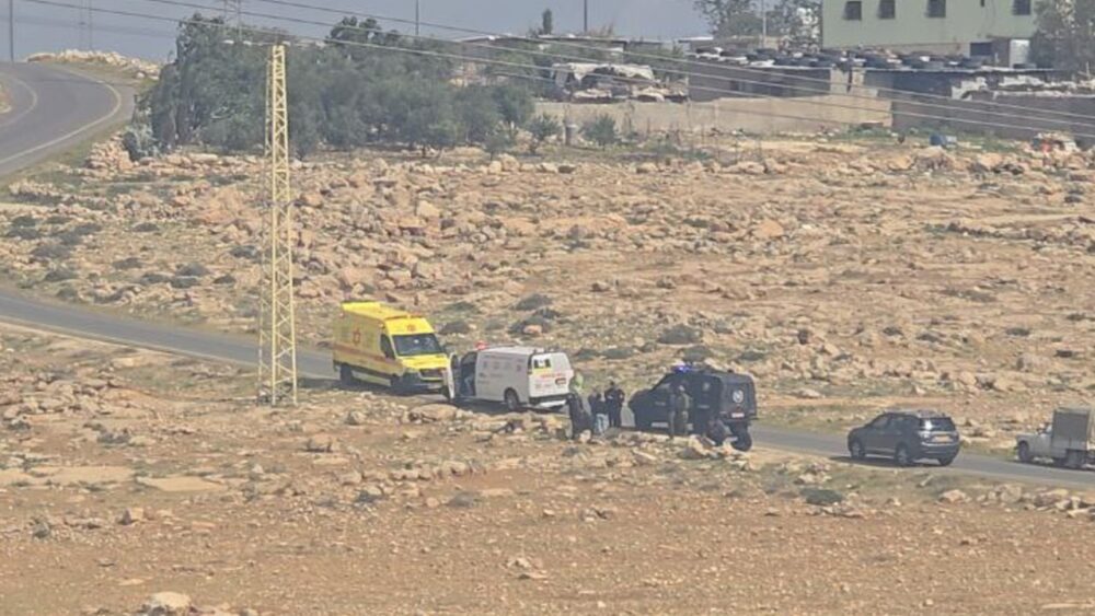 مستوطنون يصيبون عددًا من المواطنين ويستولون على أغنام في كيسان