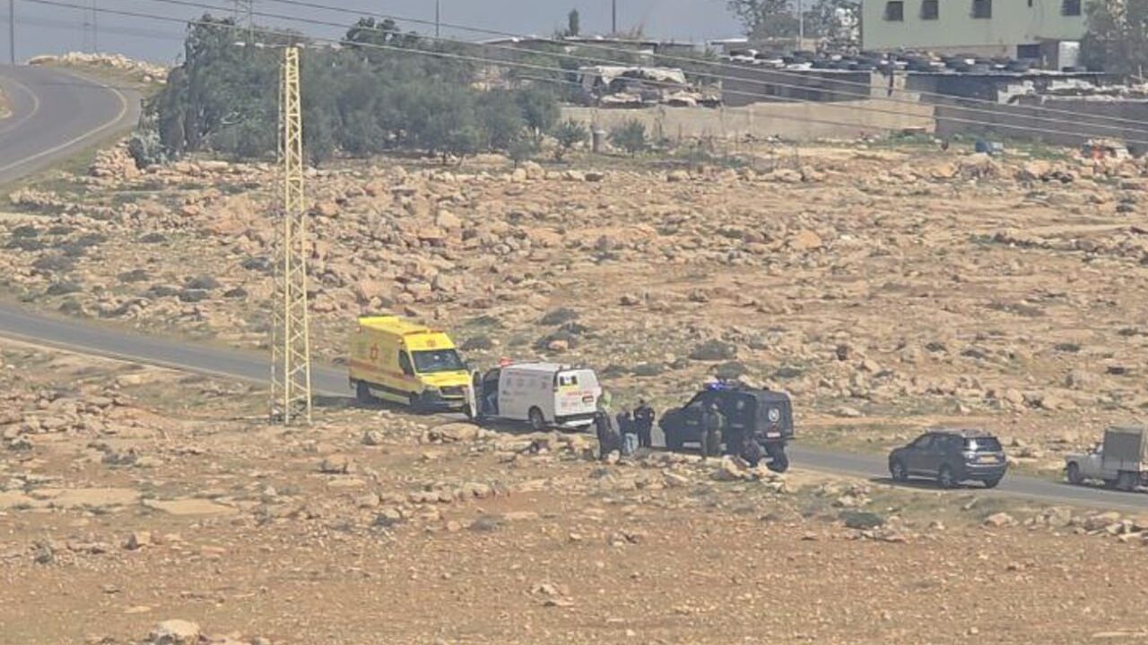 مستوطنون يصيبون عددًا من المواطنين ويستولون على أغنام في كيسان