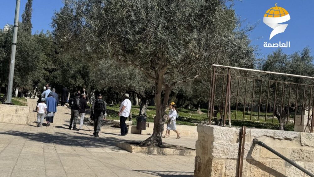 بحماية شرطة الاحتلال ... مستوطنون يقتحمون المسجد الأقصى المبارك