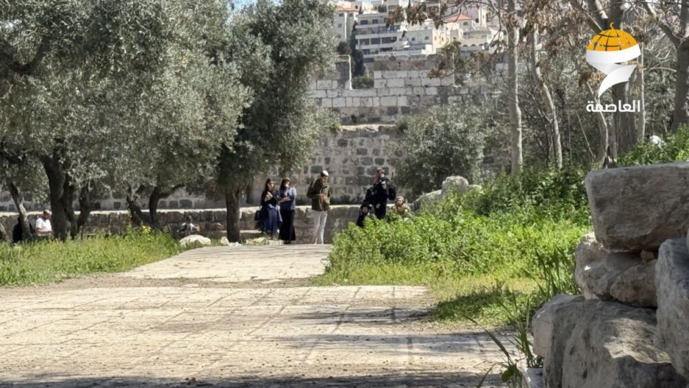 مستوطنون يؤدون طقوساً تلمودية أمام قبة الصخرة بالمسجد الأقصى المبارك