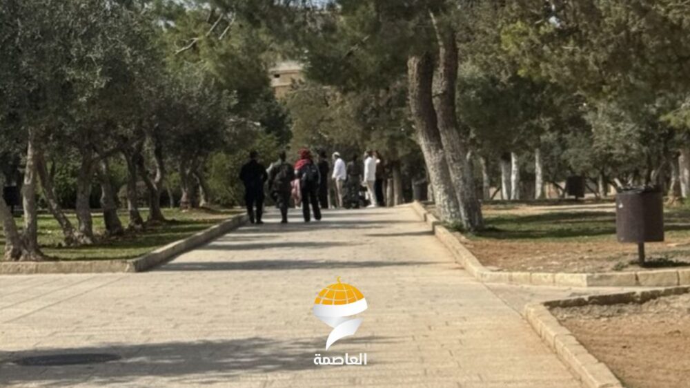 532 مستوطناً يقتحمون المسجد الأقصى المبارك