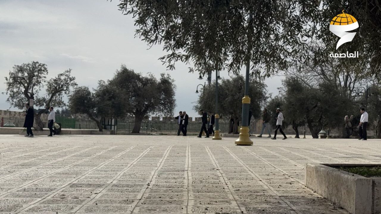 مستوطنون يقتحمون المسجد الأقصى المبارك