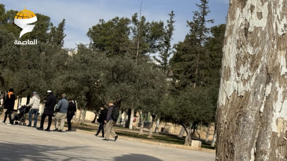 مستوطنون يقتحمون المسجد الأقصى المبارك