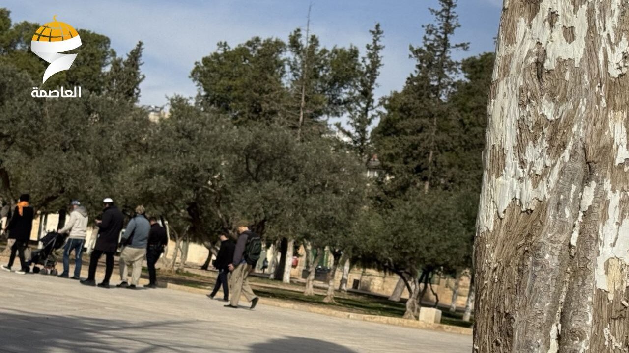 مستوطنون يقتحمون المسجد الأقصى المبارك