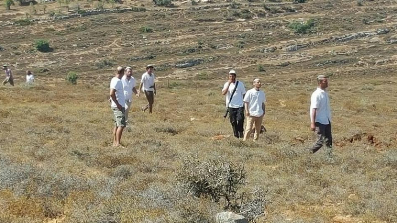 مستوطنون يقتحمون تجمع "شلال العوجا" شمال أريحا