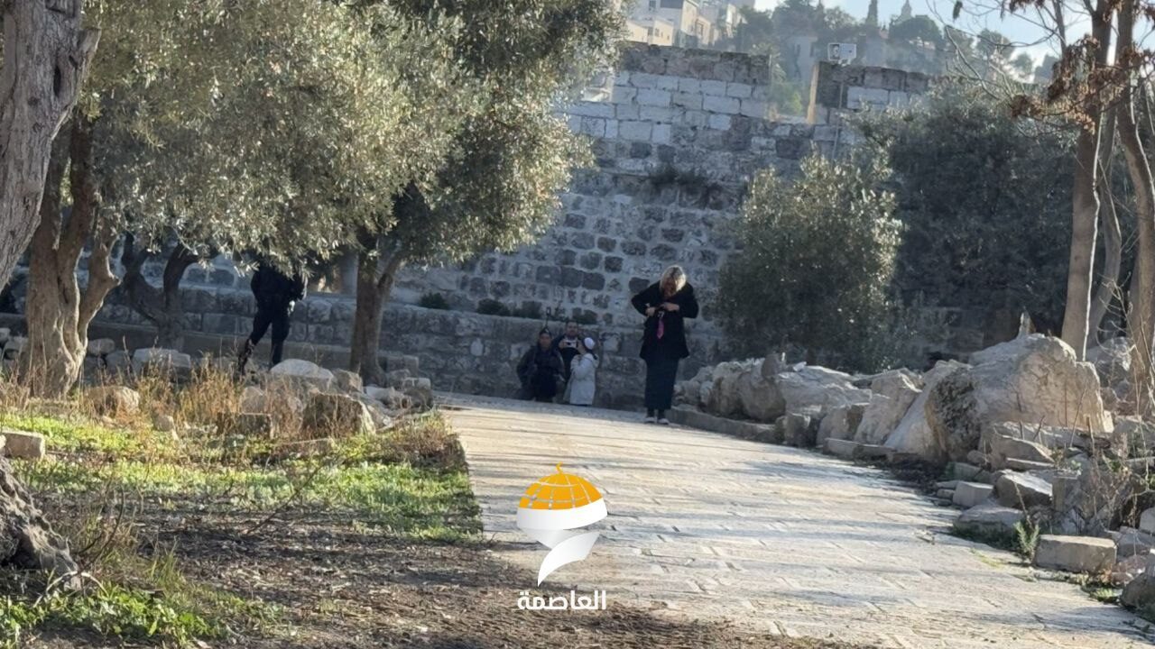 مستوطنون يقتحمون المسجد الأقصى المبارك