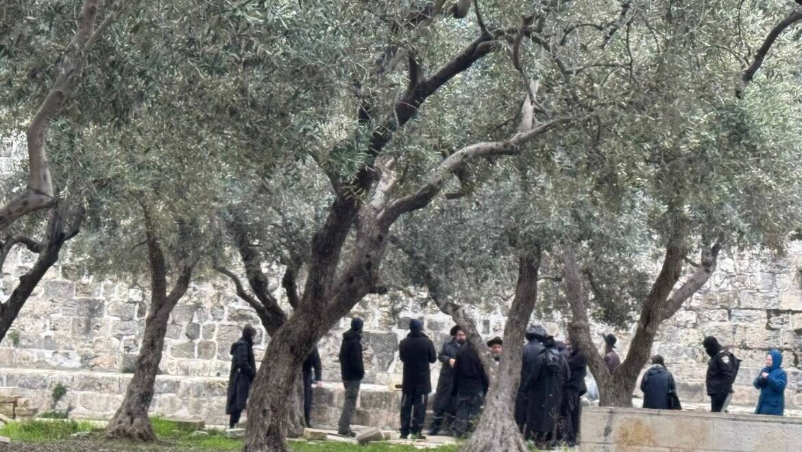 500 مستوطن يقتحمون المسجد الأقصى المبارك