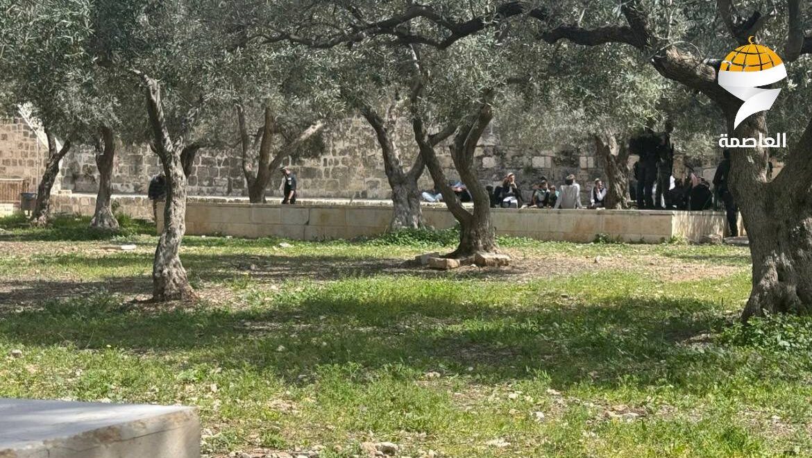 بالتزامن مع "عيد الفصح" الثاني ... 594 مستوطناً يقتحمون المسجد الأقصى المبارك