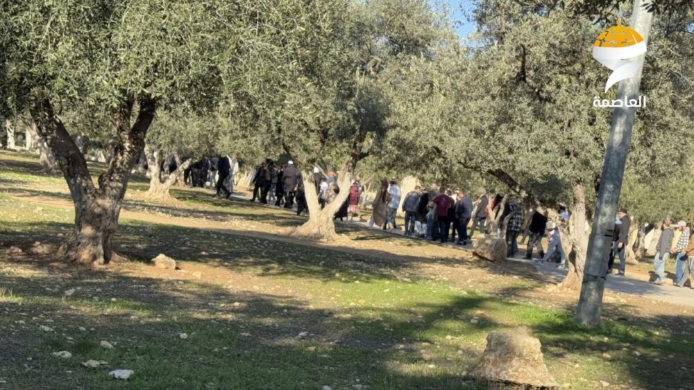 مستوطنون يقتحمون المسجد الأقصى المبارك