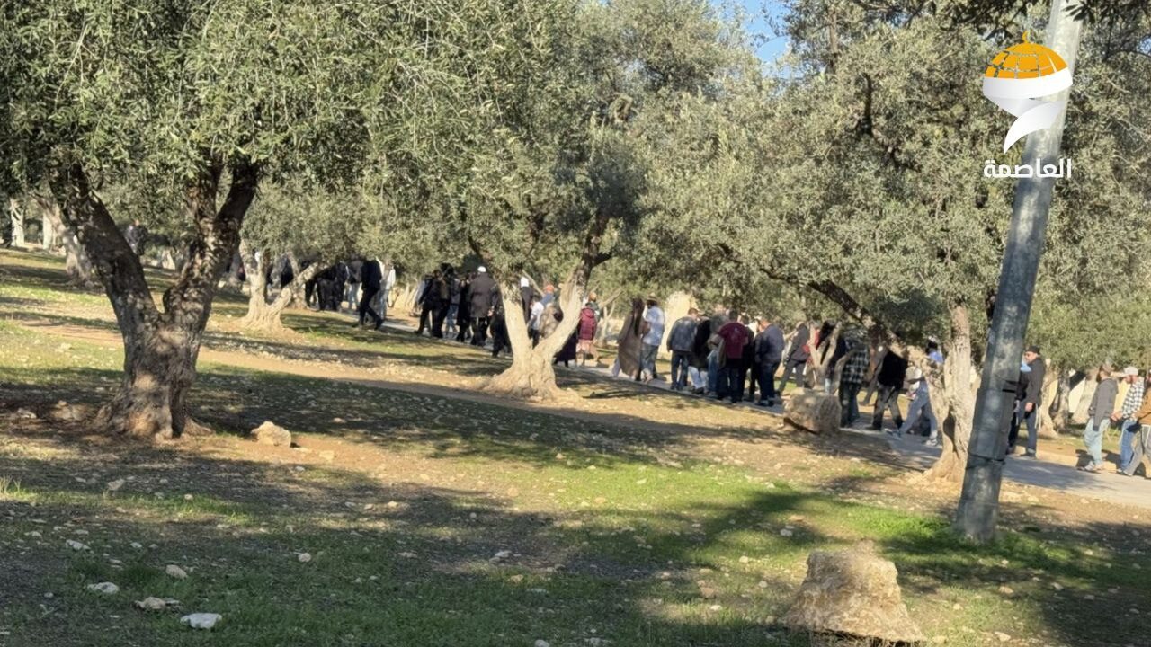 مستوطنون يقتحمون المسجد الأقصى المبارك