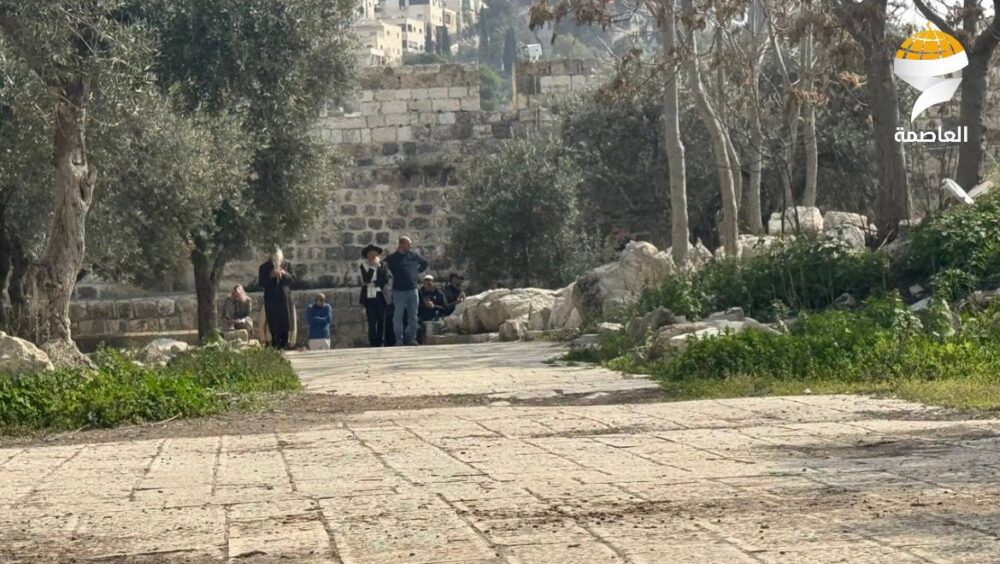 مستوطنون يقتحمون المسجد الأقصى المبارك