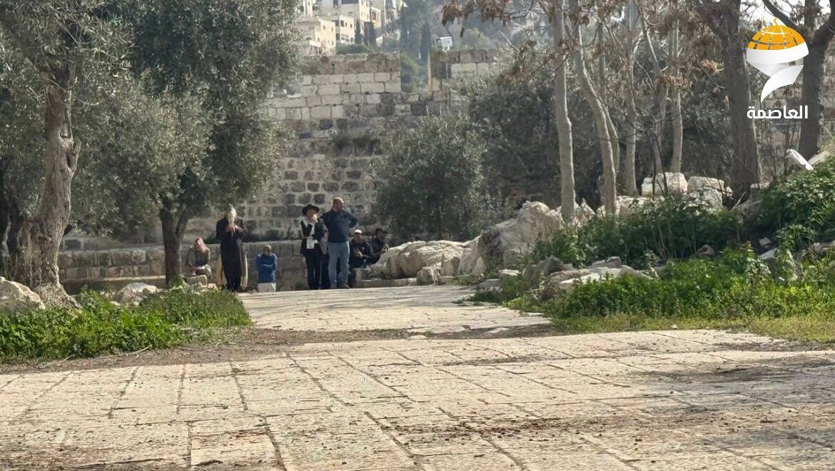 مستوطنون يقتحمون المسجد الأقصى المبارك