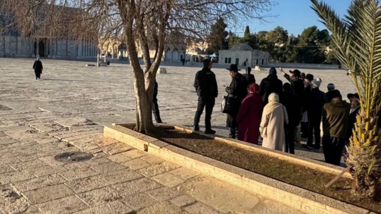 مستوطنون يقتحمون المسجد الأقصى المبارك