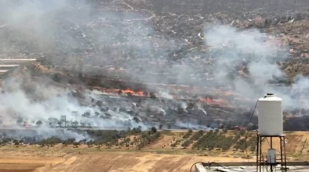 مستوطنون يضرمون النار في أراضي سهل سالم شرق نابلس