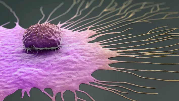 باحثون: نتائج إيجابية لأساليب علاجية مختلفة لبعض أنواع السرطان