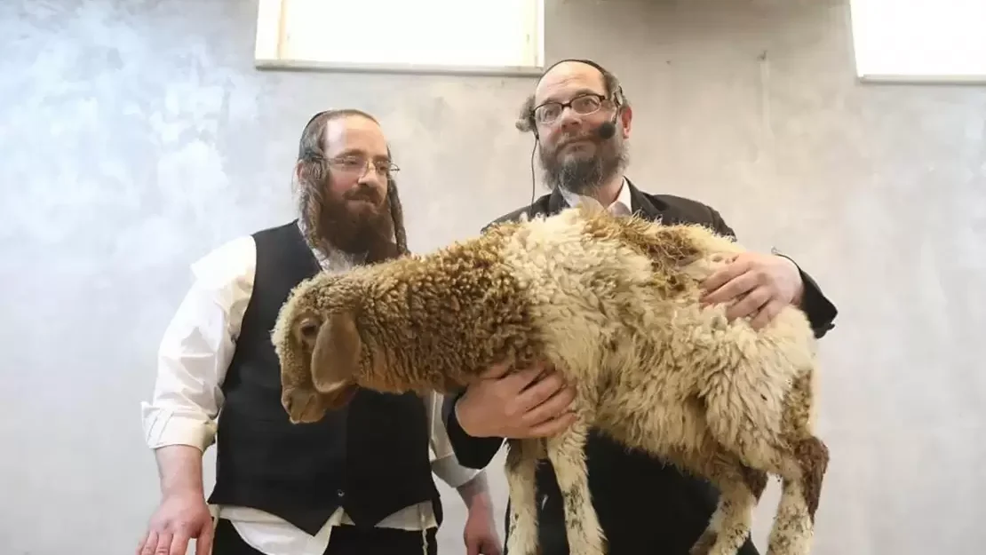 عكرمة صبري: محاولة ذبح قرابين داخل الأقصى تصعيد خطير بدعم حكومي إسرائيلي