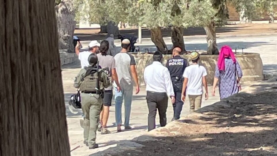 مستوطنون يقتحمون المسجد الأقصى المبارك