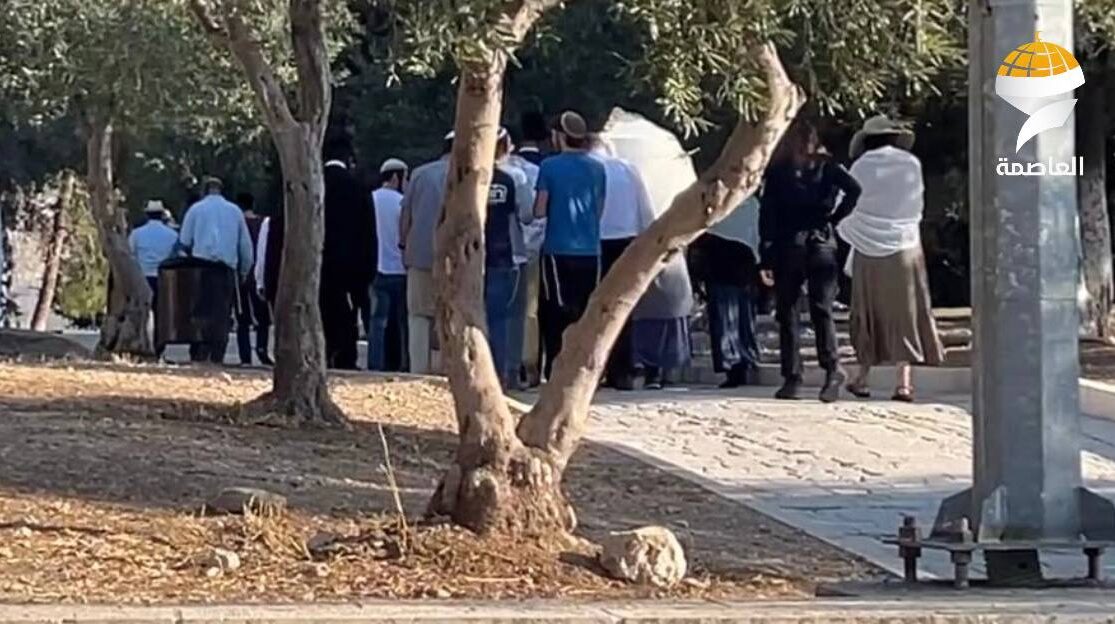 الاحتلال يقتحم المصلى القبلي في المسجد الأقصى المبارك