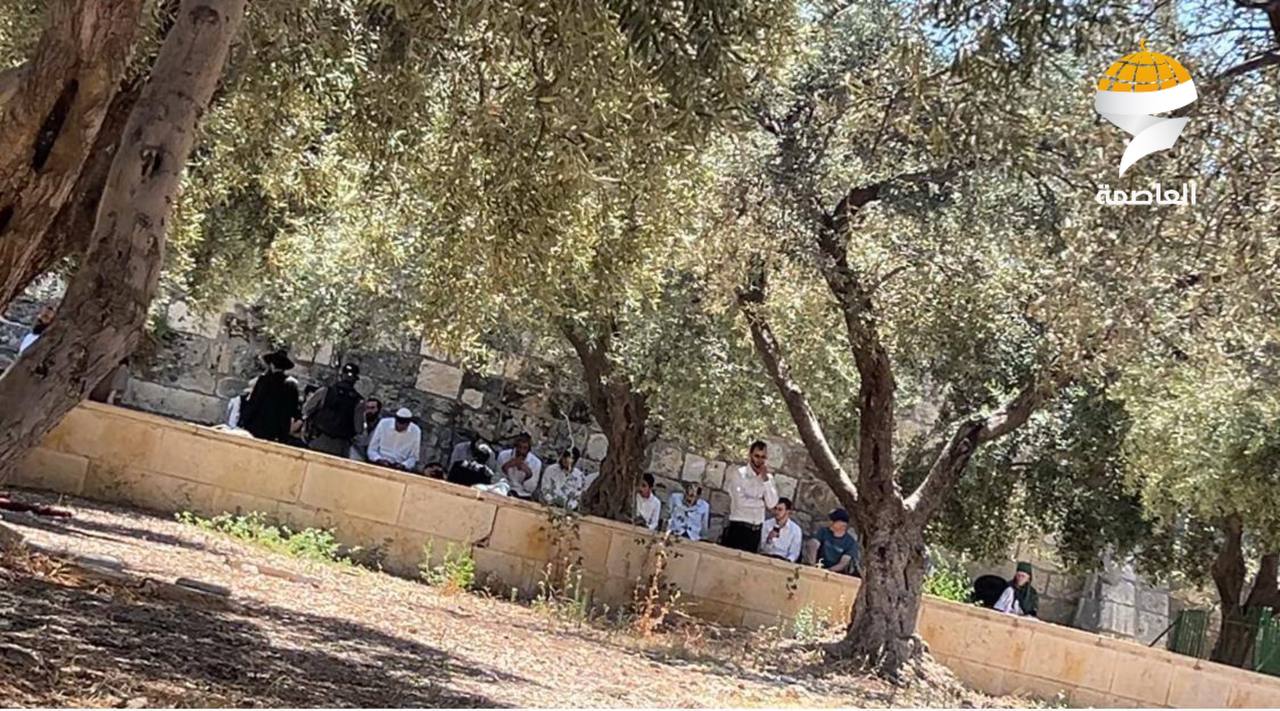 مستوطنون يقتحمون المسجد الأقصى المبارك