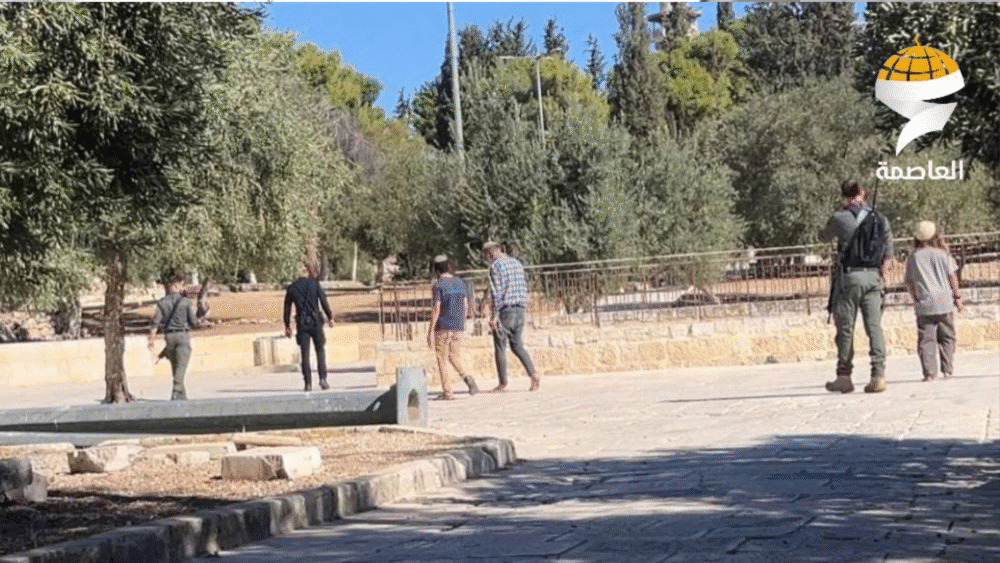 مستوطنون يقتحمون المسجد الأقصى بحماية شرطة الاحتلال