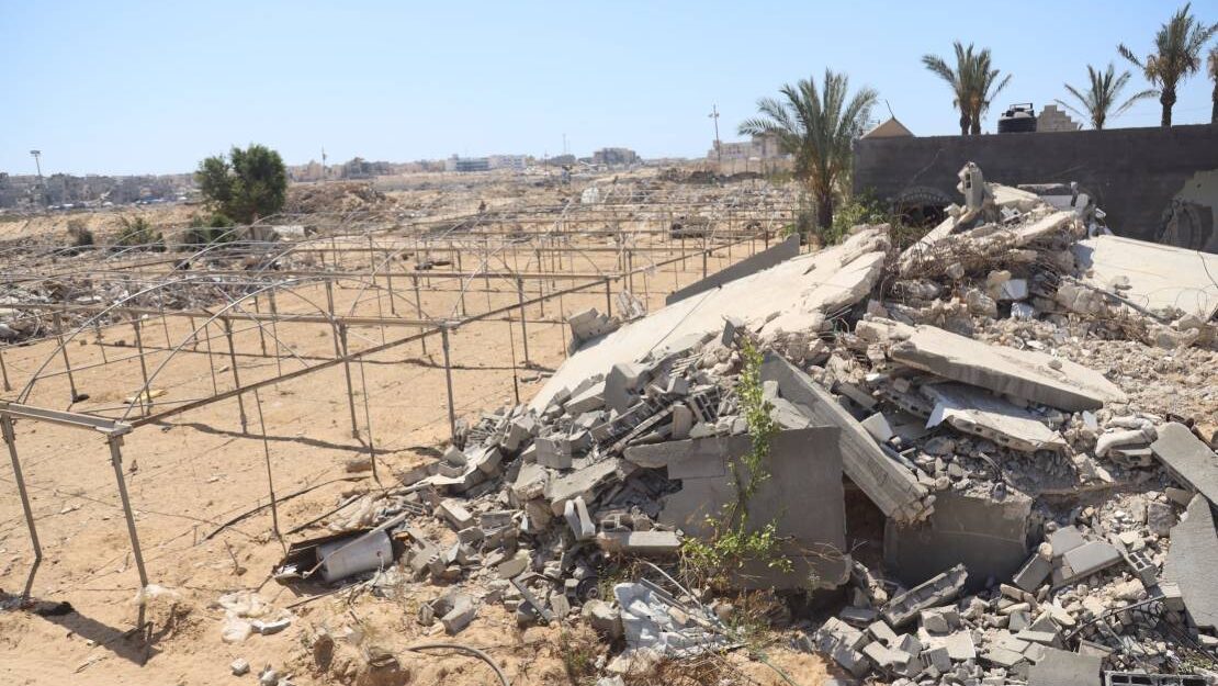 4.6% من أراضي غزة صالحة للزراعة ... الحرب الاسرائيلية قضف على الزراعة في القطاع