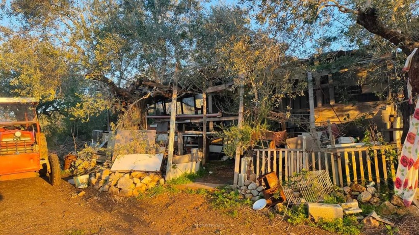 عاجل| مجمع ناصر الطبي: 4 شهداء منهم 3 أطفال في قصف الاحتلال لخيمة نازحين غربي مدينة خان يونس جنوبي قطاع غزة.