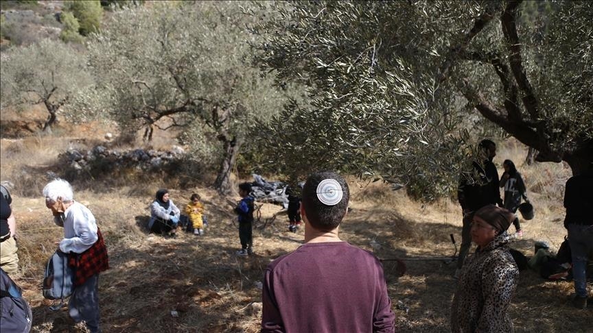 مستوطنون يعتدون على منشأة زراعية في السواحرة جنوب شرق القدس