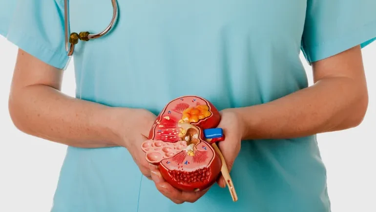 مشاكل الكلى الأكثر شيوعا لدى كبار السن والوقاية منها