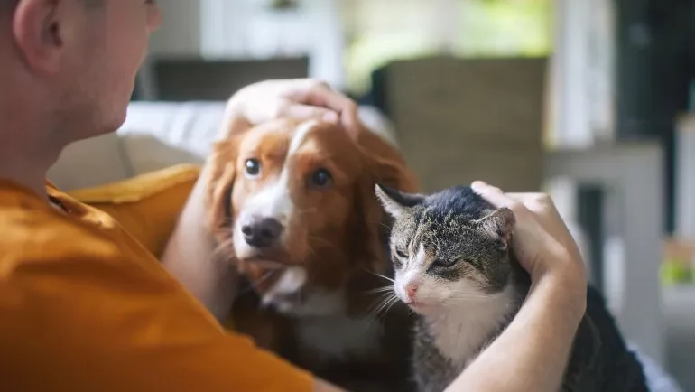 هل يمكن التحدث مع القطط والكلاب بواسطة الذكاء الاصطناعي؟